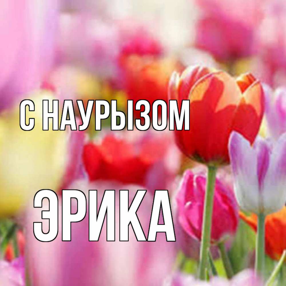 Открытка на каждый день с именем, Эрика С наурызом праздник весны наурыз 67 Прикольная открытка с пожеланием онлайн скачать бесплатно 