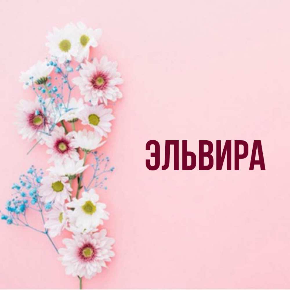 Цветы для эльвиры картинки