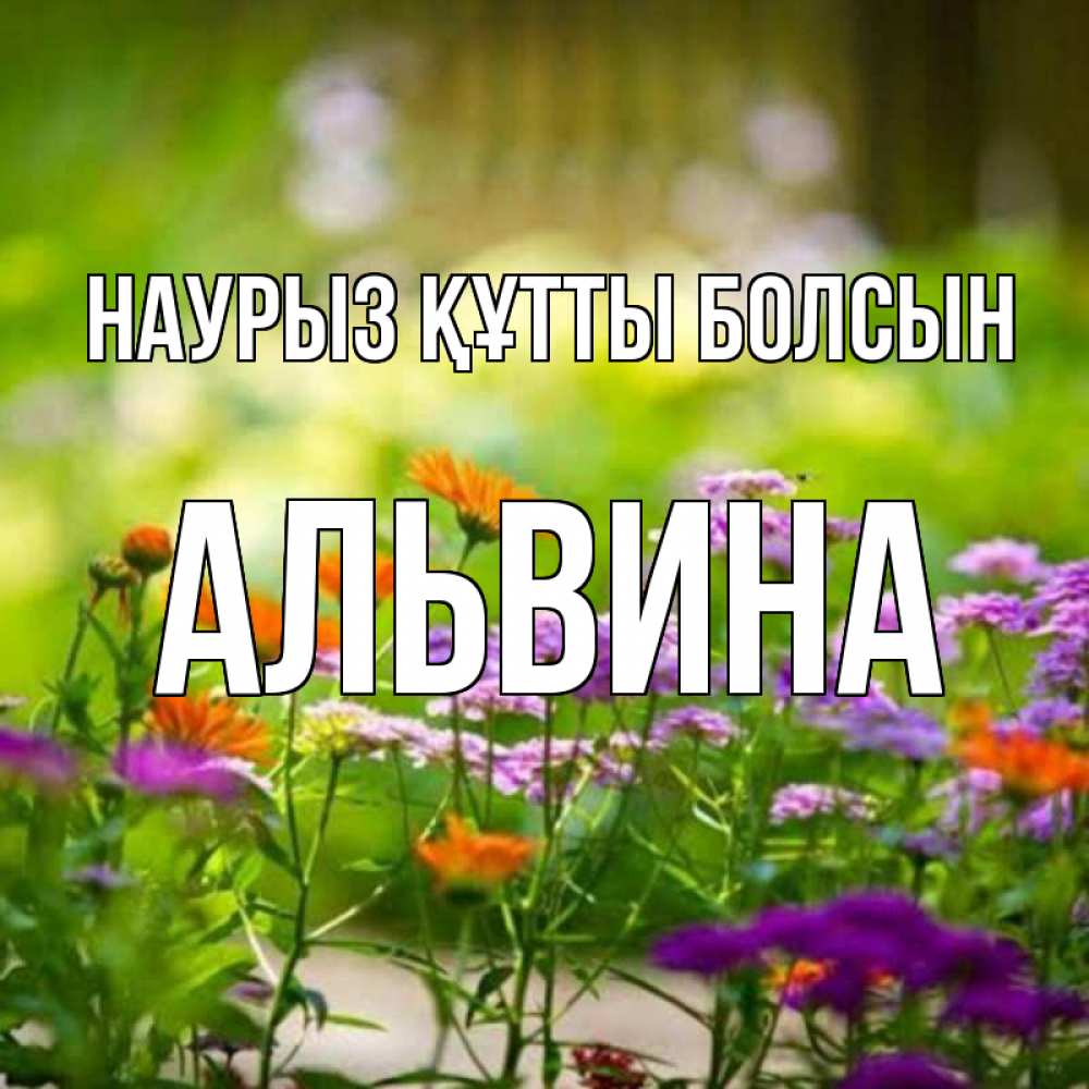Открытка на каждый день с именем, Альвина Наурыз құтты болсын цветы Прикольная открытка с пожеланием онлайн скачать бесплатно 