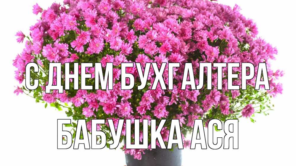 Открытка на каждый день с именем, Бабушка-Ася С днем бухгалтера с днем бухгалтера Прикольная открытка с пожеланием онлайн скачать бесплатно 