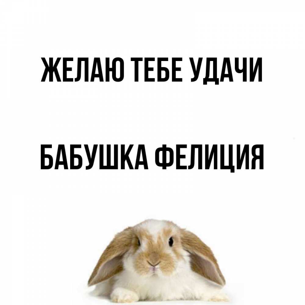Открытка на каждый день с именем, Бабушка-Фелиция Желаю тебе удачи открытки с произвольным текстом который можно вставить в открытку и создать ее самостоятельно бесплатно онлайн Прикольная открытка с пожеланием онлайн скачать бесплатно 