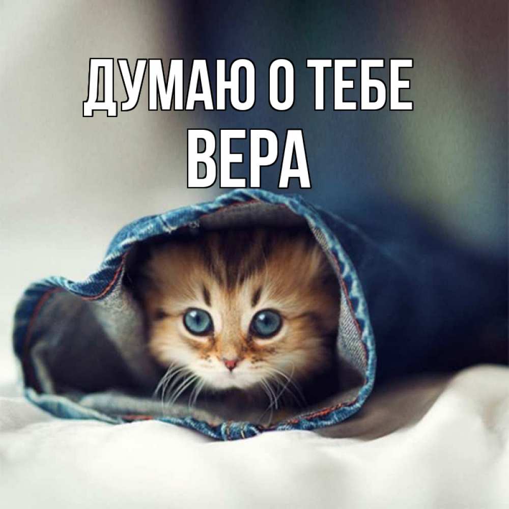 Открытка на каждый день с именем, Вера Думаю о тебе мне без тебя плохо Прикольная открытка с пожеланием онлайн скачать бесплатно 
