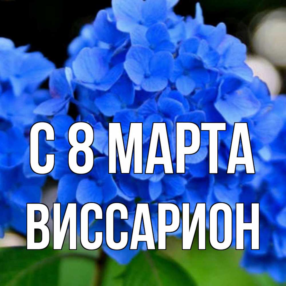 Открытка на каждый день с именем, Виссарион С 8 МАРТА синие цветы Прикольная открытка с пожеланием онлайн скачать бесплатно 