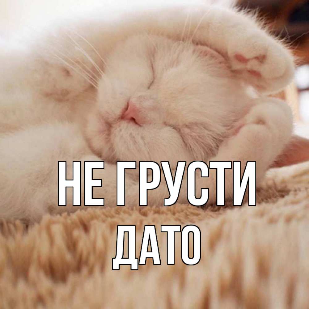 
Картинка Котик Не Грусти