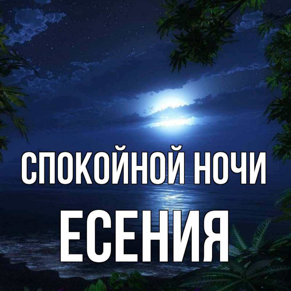 Открытка на каждый день с именем, Есения Спокойной ночи тропический остров Прикольная открытка с пожеланием онлайн скачать бесплатно 