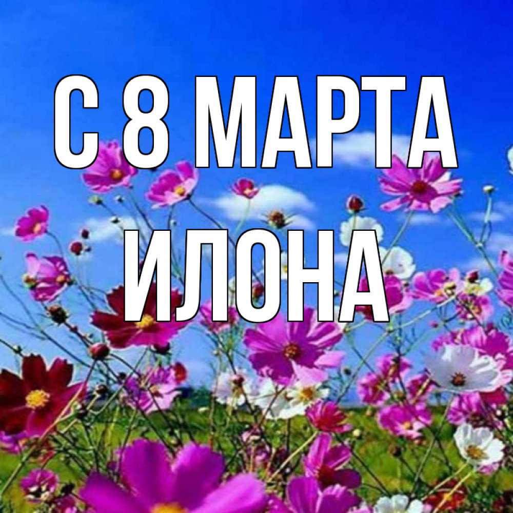 Открытка на каждый день с именем, Илона С 8 марта цветы Прикольная открытка с пожеланием онлайн скачать бесплатно 