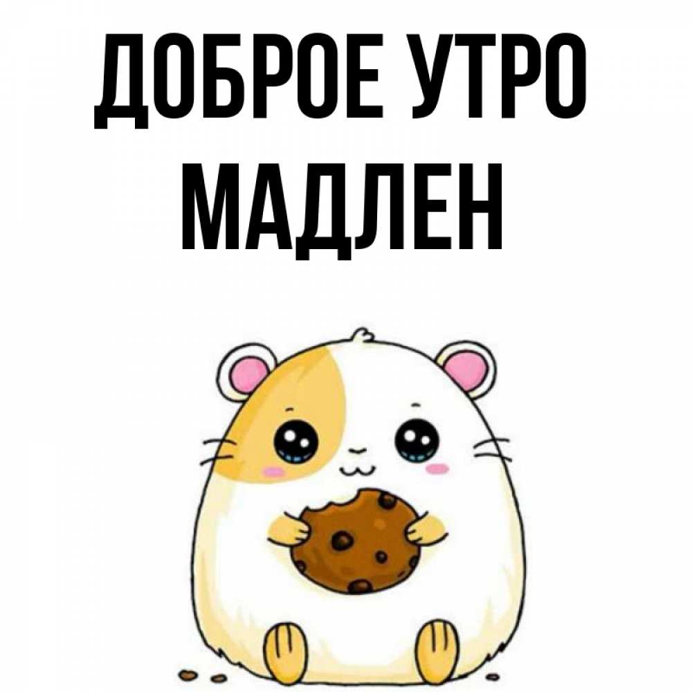 Открытка на каждый день с именем, Мадлен Доброе утро есть печеньку. Утречко Прикольная открытка с пожеланием онлайн скачать бесплатно 