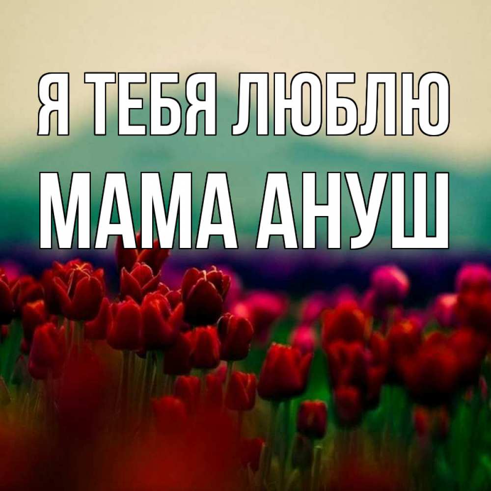 Открытка на каждый день с именем, Мама-Ануш Я тебя люблю тюльпаны 4 Прикольная открытка с пожеланием онлайн скачать бесплатно 