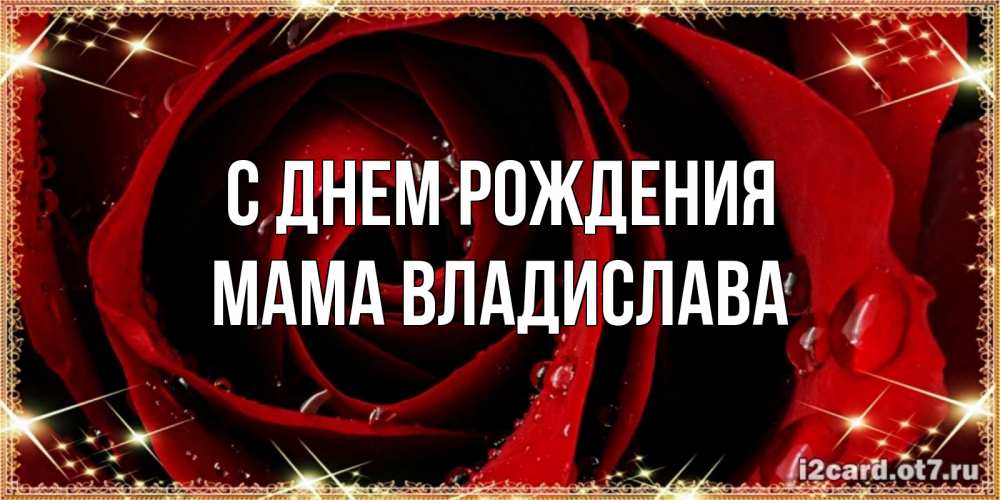 Открытка на каждый день с именем, Мама-Владислава С днем рождения цветок в росе на день рождения Прикольная открытка с пожеланием онлайн скачать бесплатно 