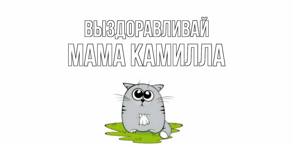 Открытка на каждый день с именем, Мама-Камилла Выздоравливай кот и открытки про выздоровление Прикольная открытка с пожеланием онлайн скачать бесплатно 