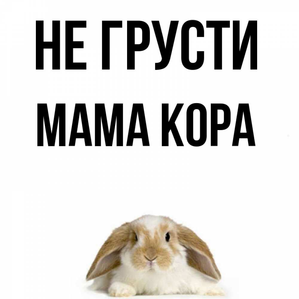 Открытка на каждый день с именем, Мама-Кора Не грусти коричнево белый заяц с большими ушками Прикольная открытка с пожеланием онлайн скачать бесплатно 