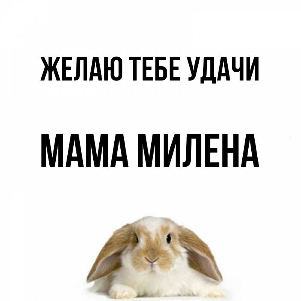 Открытка на каждый день с именем, Мама-Милена Желаю тебе удачи открытки с произвольным текстом который можно вставить в открытку и создать ее самостоятельно бесплатно онлайн Прикольная открытка с пожеланием онлайн скачать бесплатно 
