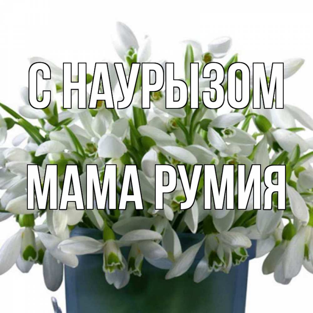 Открытка на каждый день с именем, Мама-Румия С наурызом цветы к наурызу новый год в Казахстане Прикольная открытка с пожеланием онлайн скачать бесплатно 