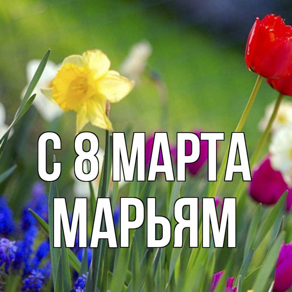 Открытка на каждый день с именем, Марьям С 8 МАРТА международный женский день 3 Прикольная открытка с пожеланием онлайн скачать бесплатно 