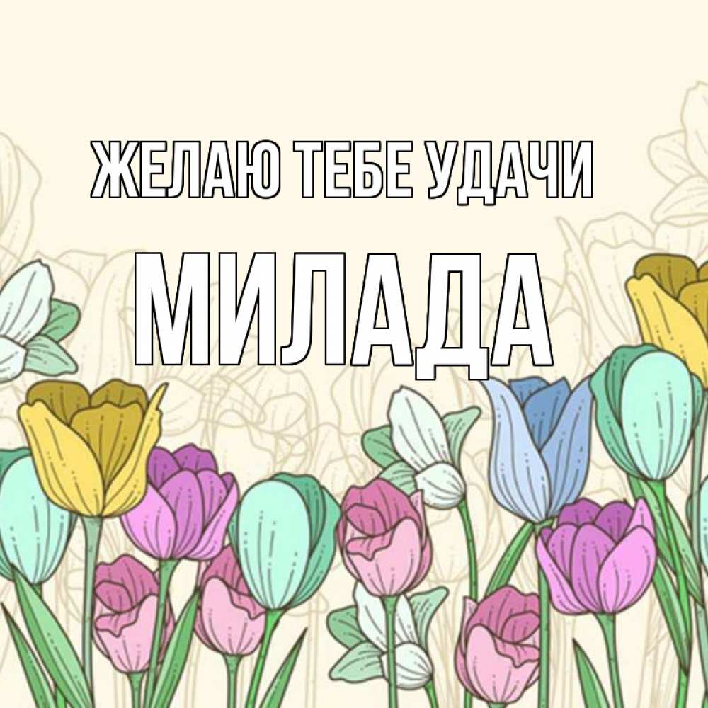 Открытка на каждый день с именем, Милада Желаю тебе удачи тюльпаны Прикольная открытка с пожеланием онлайн скачать бесплатно 