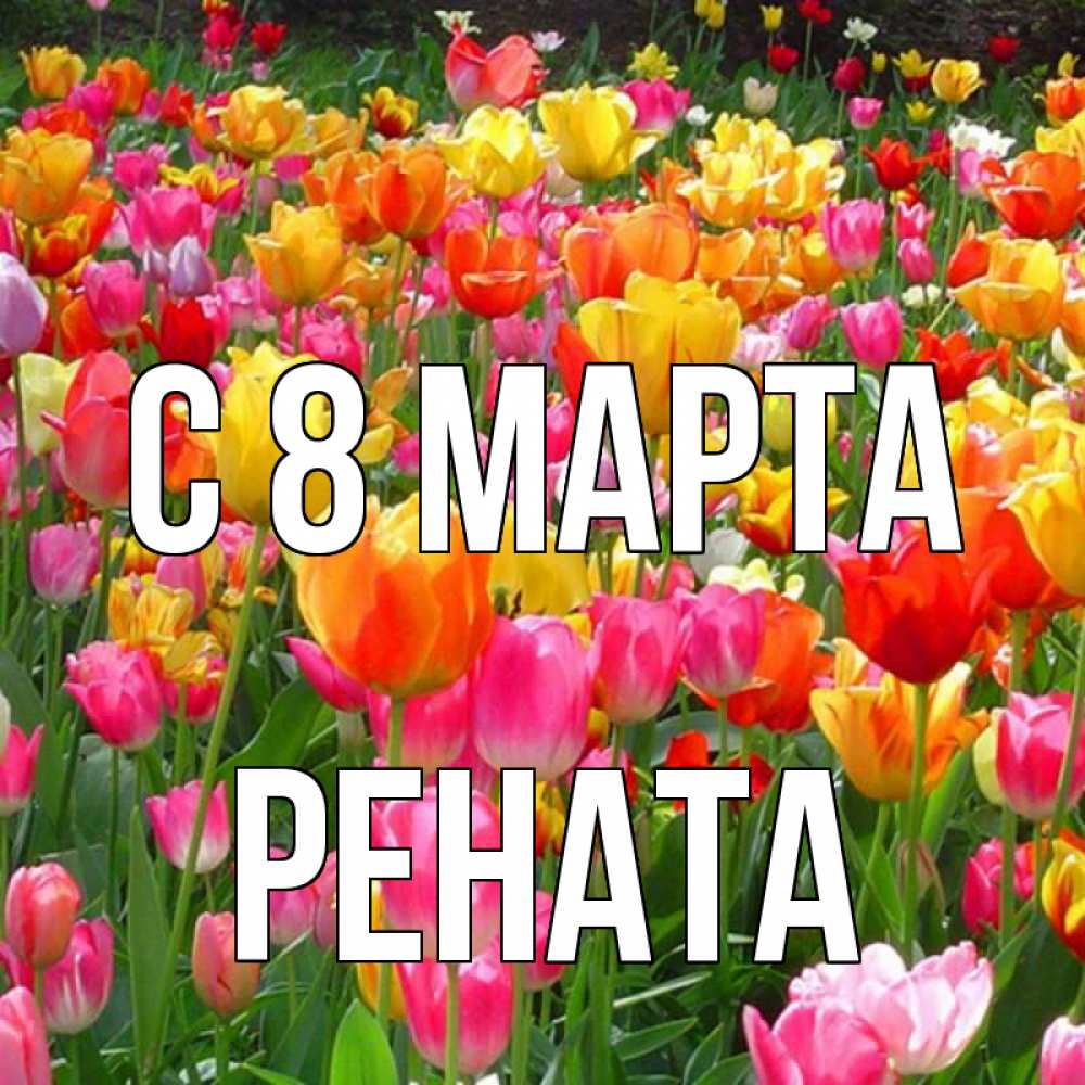 Открытка на каждый день с именем, Рената С 8 МАРТА на международный женский день Прикольная открытка с пожеланием онлайн скачать бесплатно 