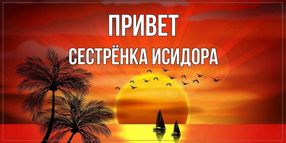 Открытка на каждый день с именем, Сестрёнка-Исидора Привет привет Прикольная открытка с пожеланием онлайн скачать бесплатно 
