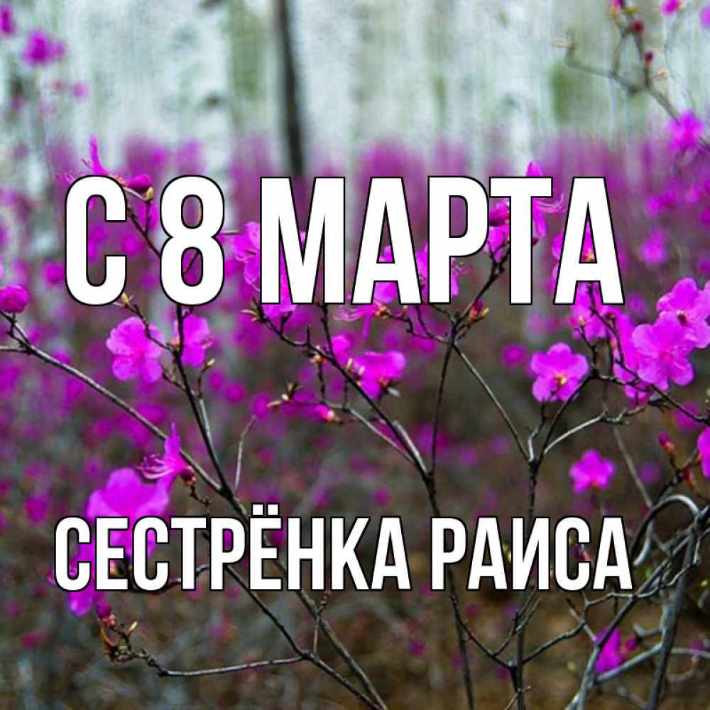 Открытка на каждый день с именем, Сестрёнка-Раиса С 8 марта дикие цветы Прикольная открытка с пожеланием онлайн скачать бесплатно 