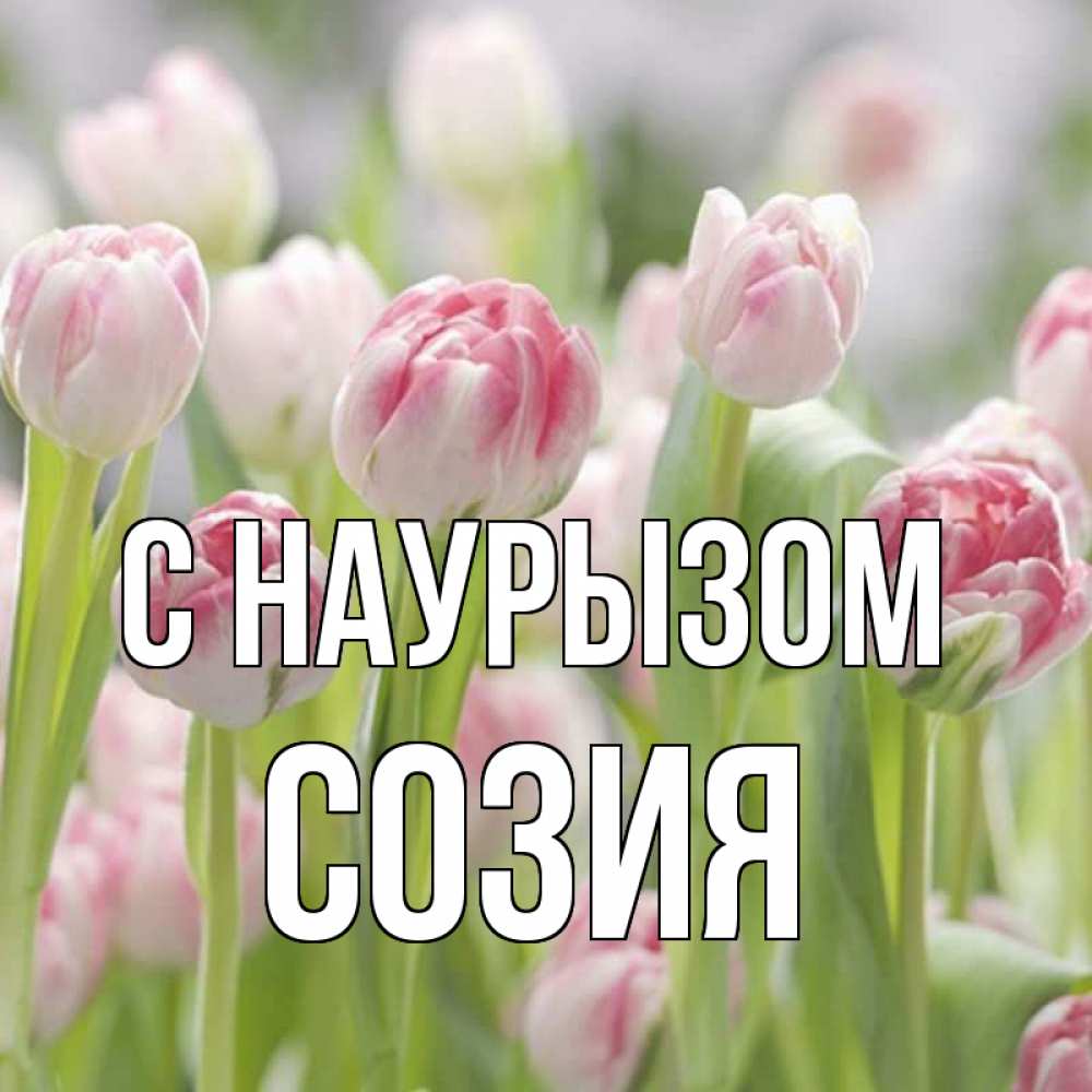 Открытка на каждый день с именем, Созия С наурызом цветы Прикольная открытка с пожеланием онлайн скачать бесплатно 