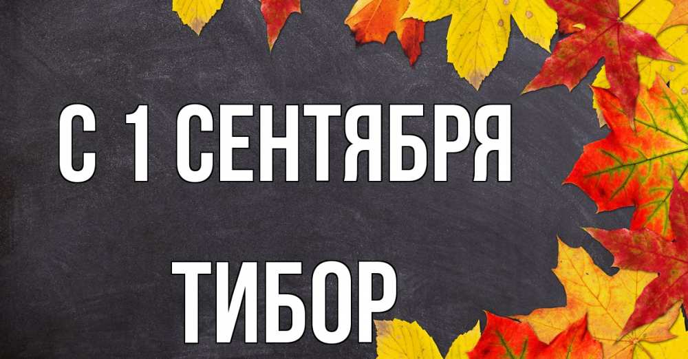 Открытка на каждый день с именем, Тибор С 1 сентября с днем знаний Прикольная открытка с пожеланием онлайн скачать бесплатно 