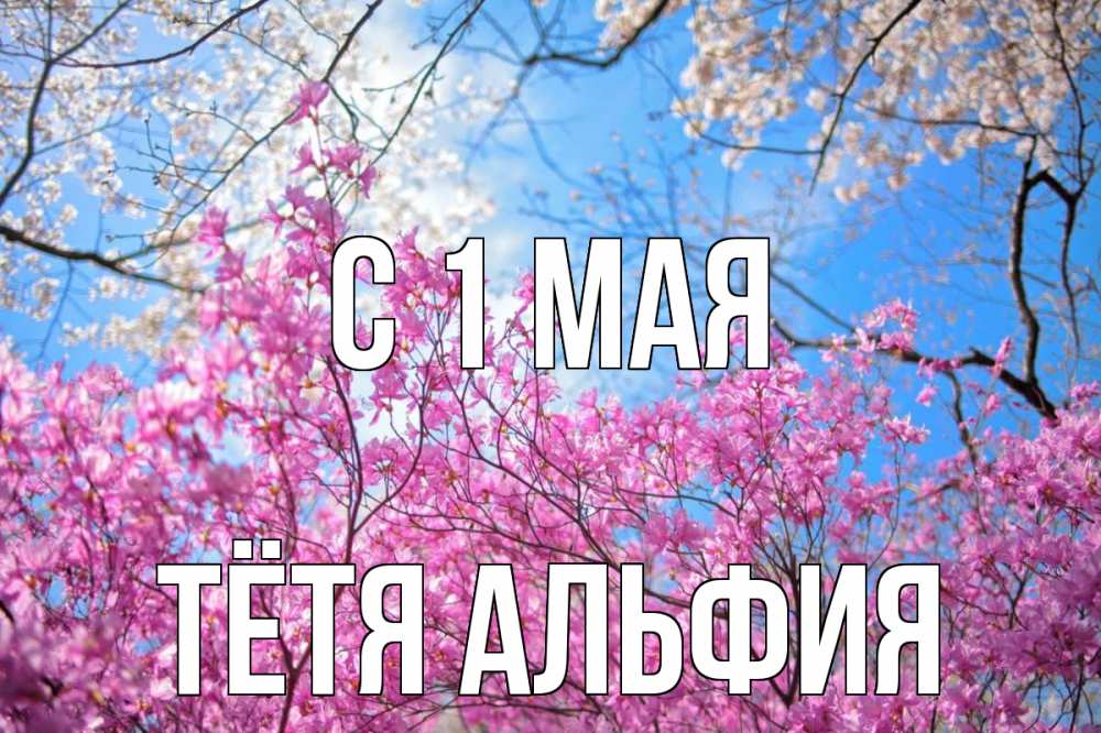 Открытка на каждый день с именем, Тётя-Альфия С 1 мая С 1 мая Прикольная открытка с пожеланием онлайн скачать бесплатно 