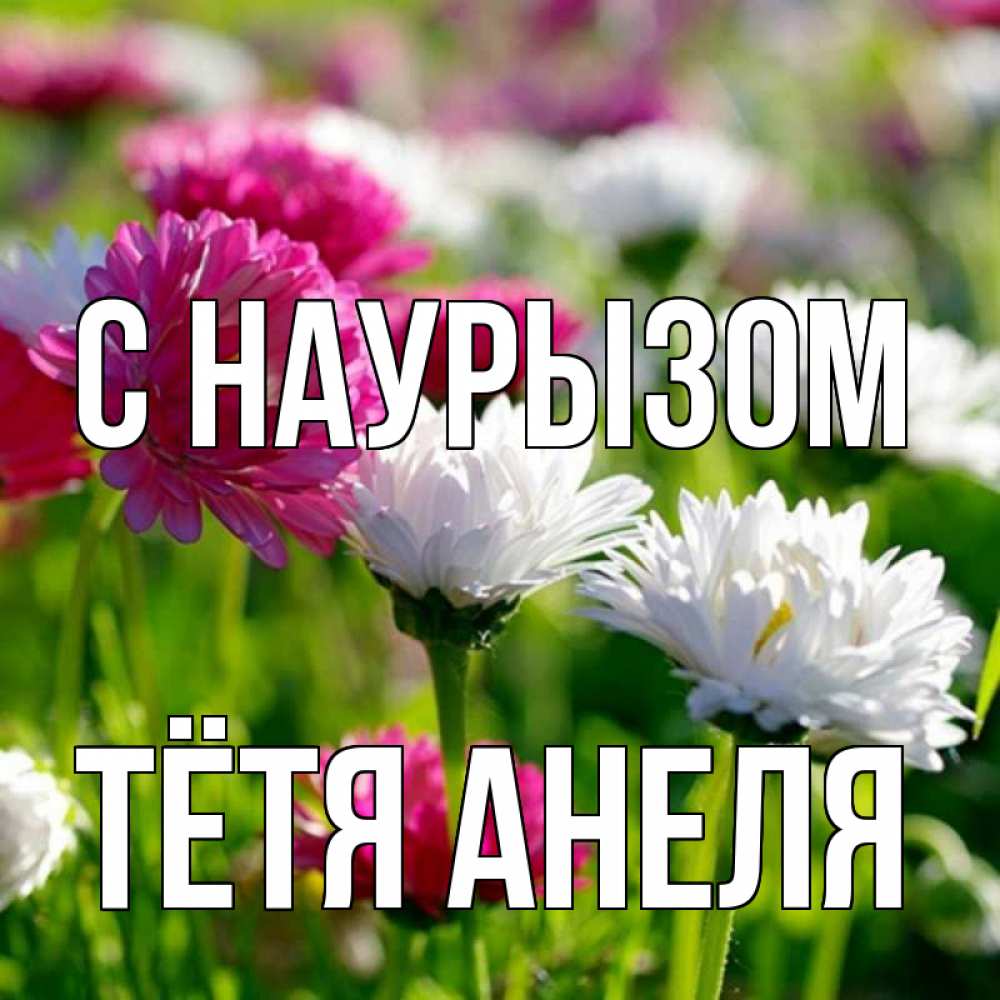 Открытка на каждый день с именем, Тётя-Анеля С наурызом праздник весны наурыз красота Прикольная открытка с пожеланием онлайн скачать бесплатно 