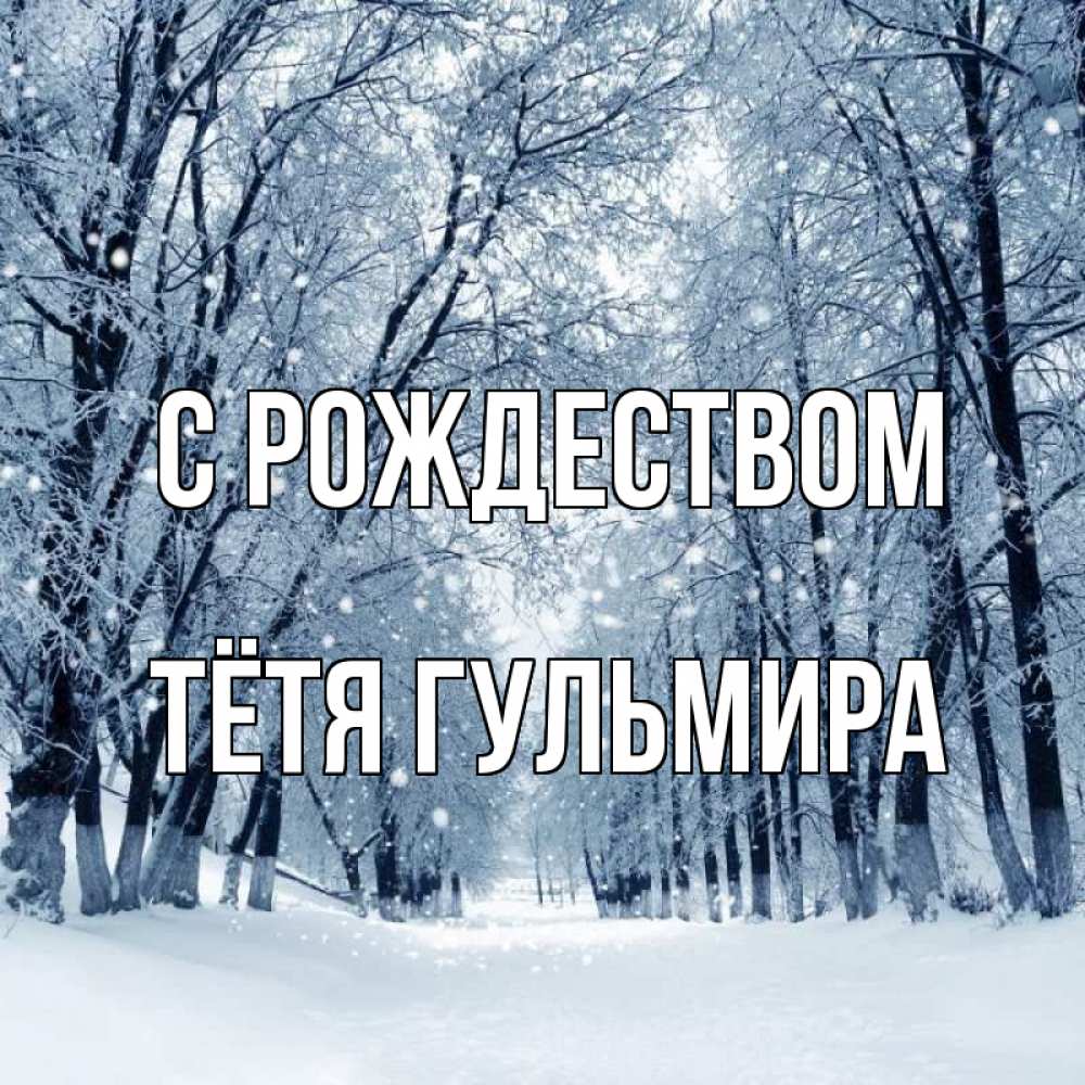 Открытка на каждый день с именем, Тётя-Гульмира С рождеством снег, лес, парк Прикольная открытка с пожеланием онлайн скачать бесплатно 