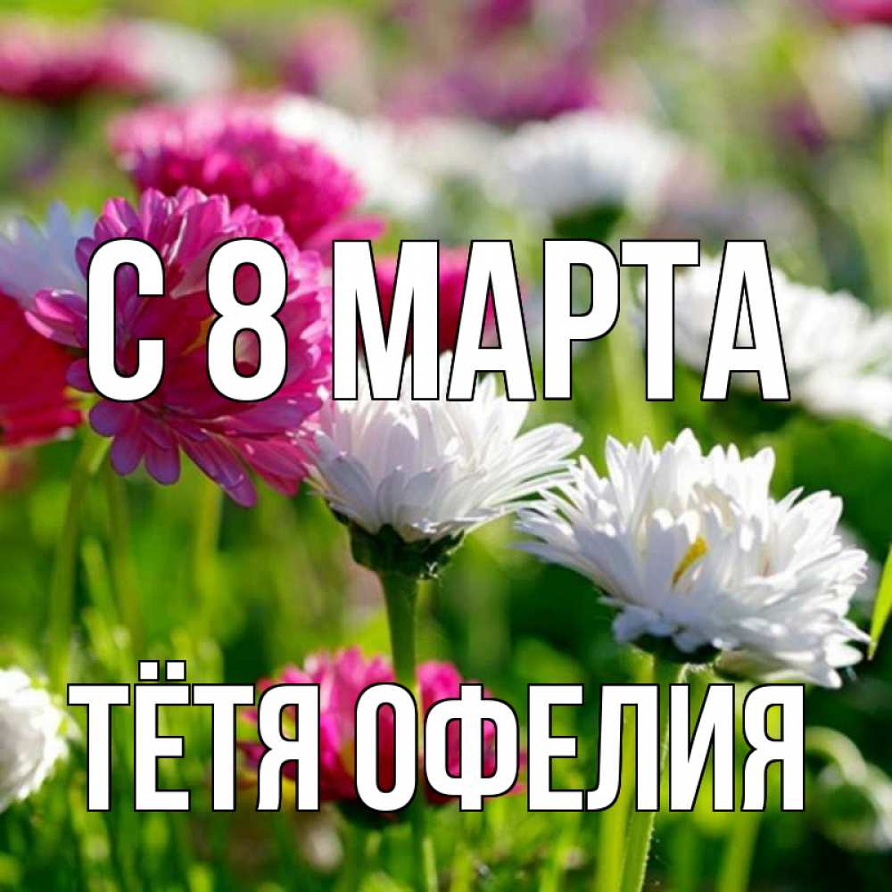 Открытка на каждый день с именем, Тётя-Офелия С 8 МАРТА международный женский день 1 Прикольная открытка с пожеланием онлайн скачать бесплатно 