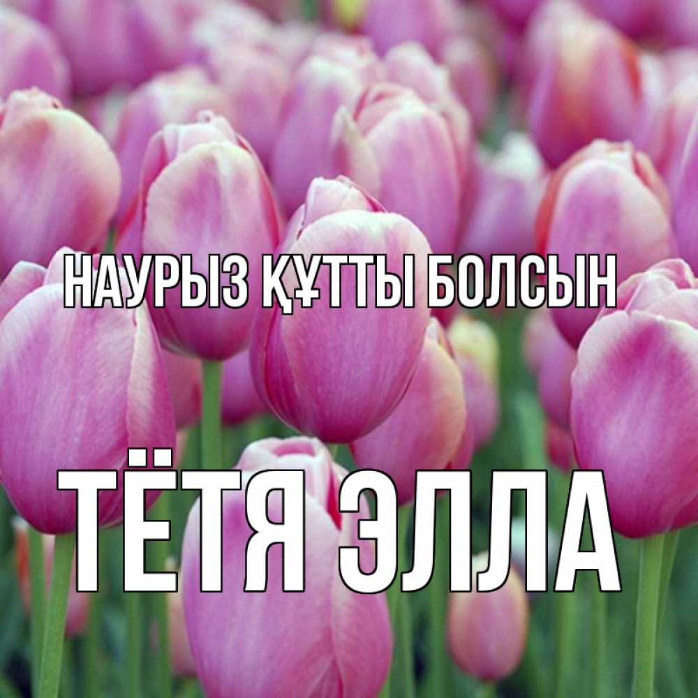 Открытка на каждый день с именем, Тётя-Элла Наурыз құтты болсын на наурыз  день 3 Прикольная открытка с пожеланием онлайн скачать бесплатно 