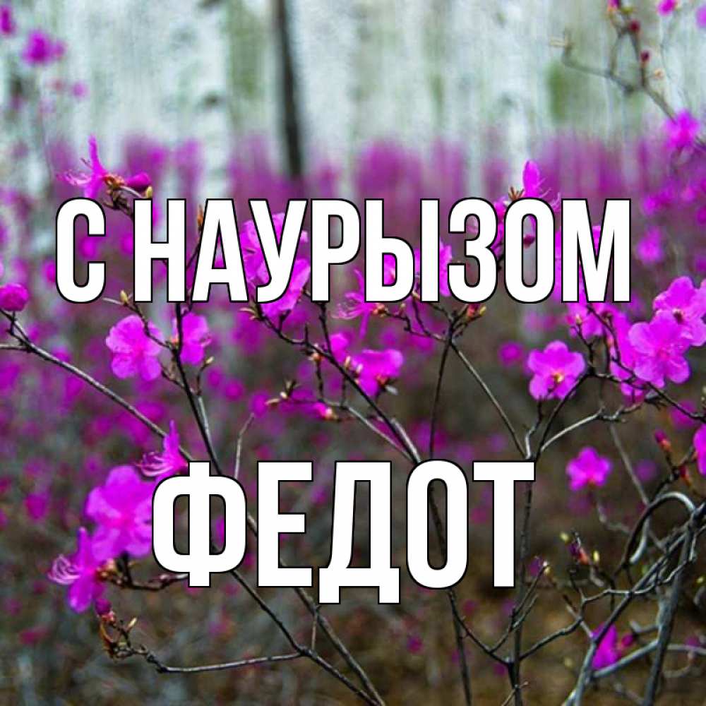 Открытка на каждый день с именем, Федот С наурызом дикие цветы Прикольная открытка с пожеланием онлайн скачать бесплатно 