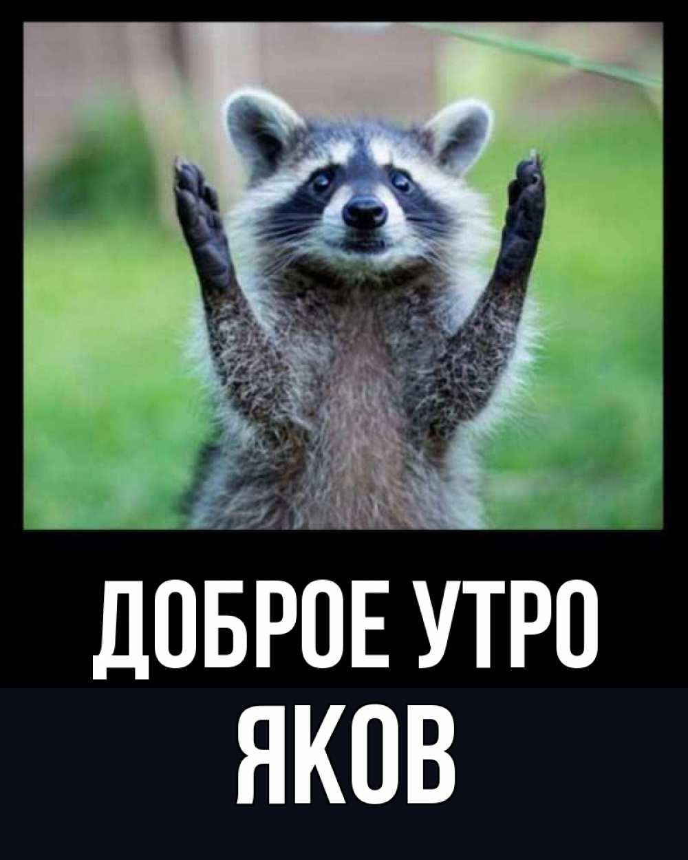 Открытка на каждый день с именем, Яков Доброе утро хорошее настроение утречком Прикольная открытка с пожеланием онлайн скачать бесплатно 