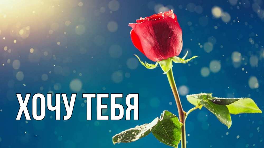 Открытка на каждый день с именем, Хочу-тебя Главная с днем знаний Прикольная открытка с пожеланием онлайн скачать бесплатно 