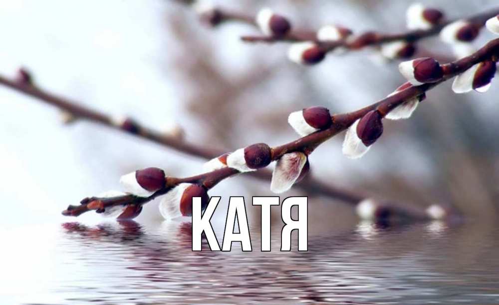 Открытка на каждый день с именем, Катя Главная верба, ручей Прикольная открытка с пожеланием онлайн скачать бесплатно 