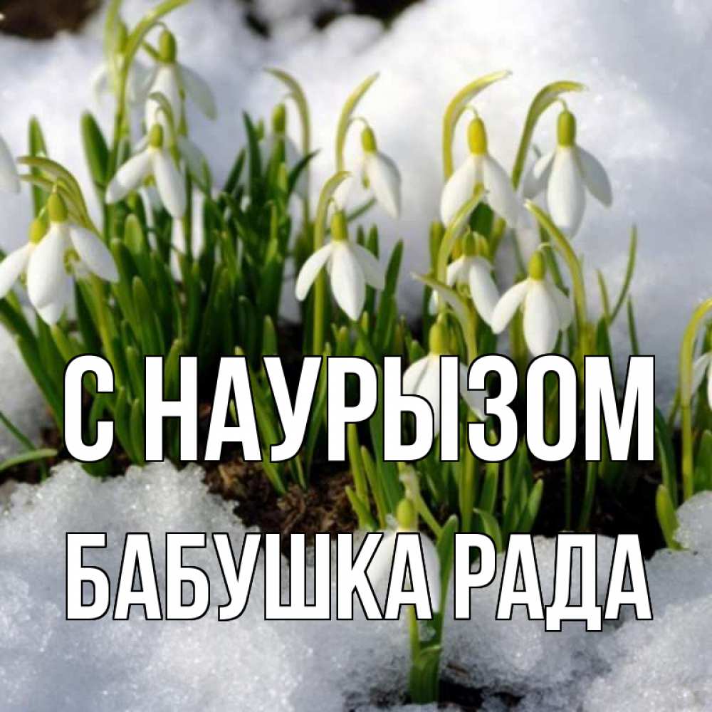 Открытка на каждый день с именем, Бабушка-Рада С наурызом цветы весенние Прикольная открытка с пожеланием онлайн скачать бесплатно 