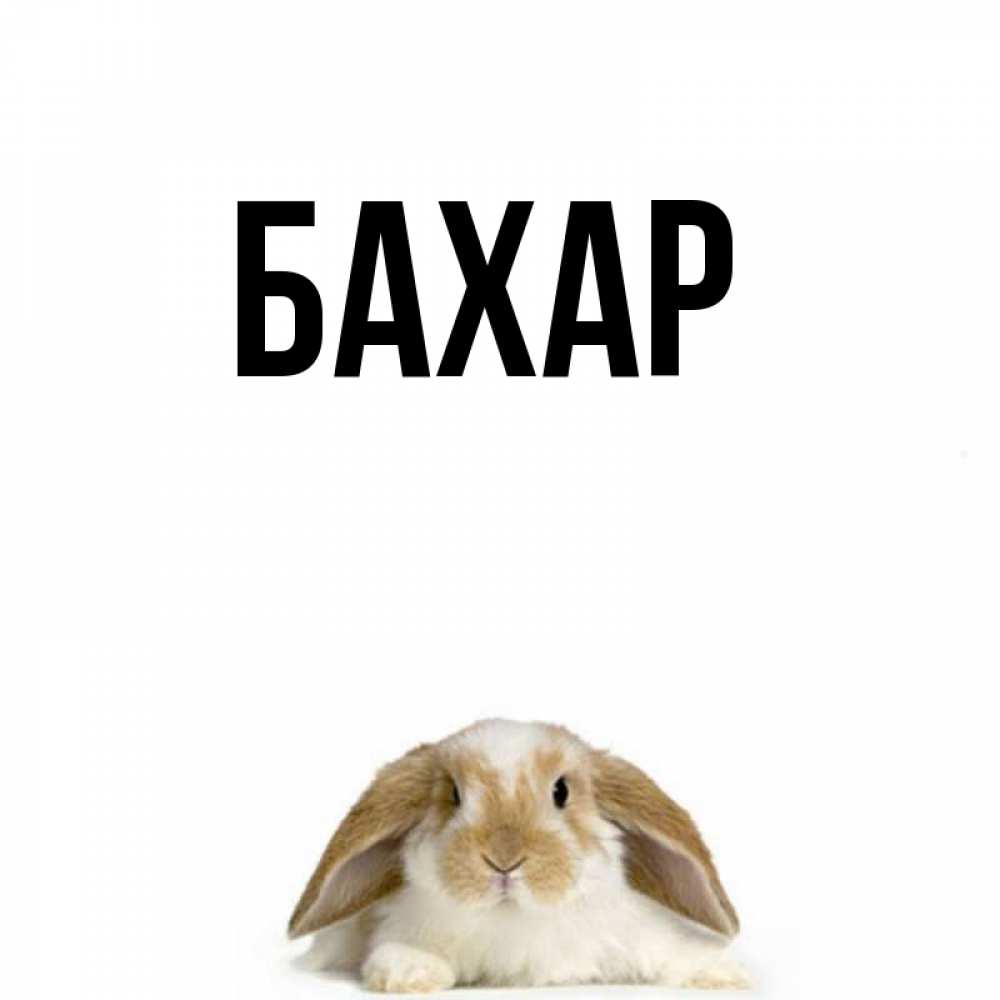 Открытка на каждый день с именем, Бахар Главная подписать своими руками онлайн Прикольная открытка с пожеланием онлайн скачать бесплатно 