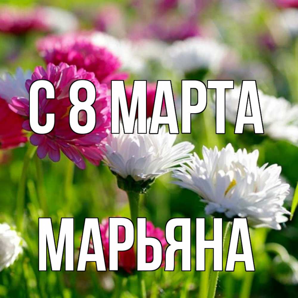 Цветы для натальи