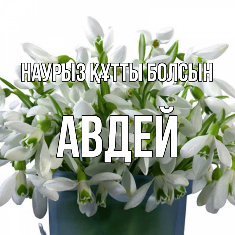 Открытка на каждый день с именем, Авдей Наурыз құтты болсын цветы к наурызу Прикольная открытка с пожеланием онлайн скачать бесплатно 