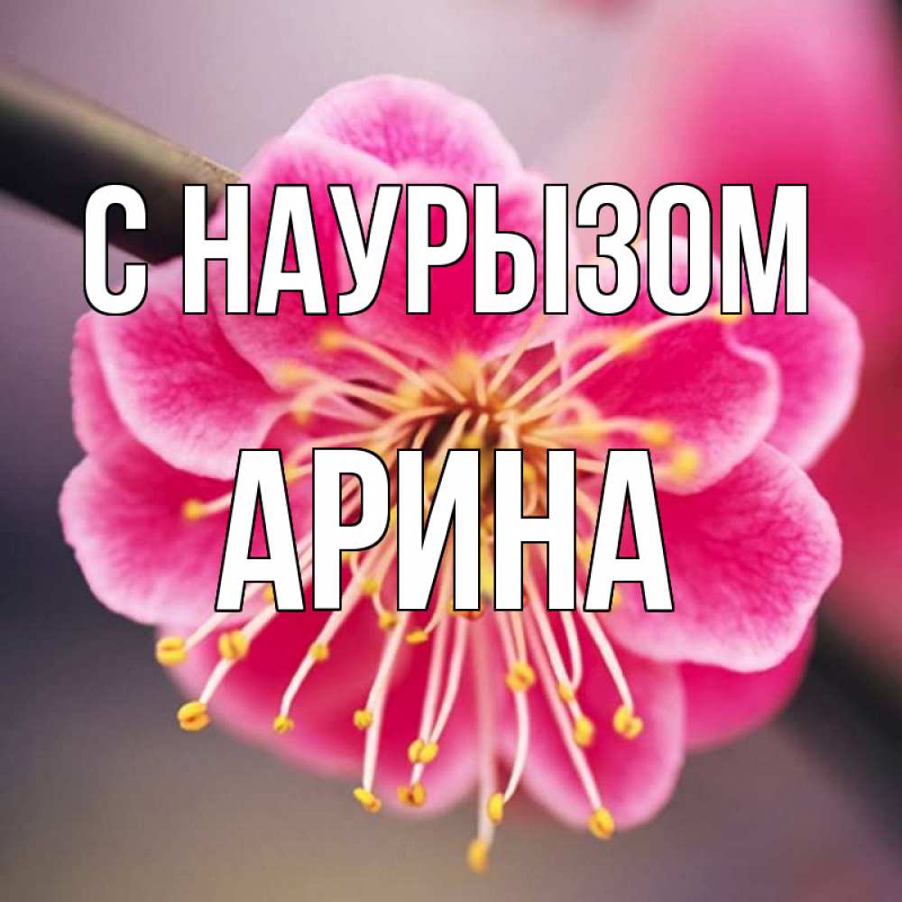 Открытка на каждый день с именем, Арина С наурызом цветы Прикольная открытка с пожеланием онлайн скачать бесплатно 