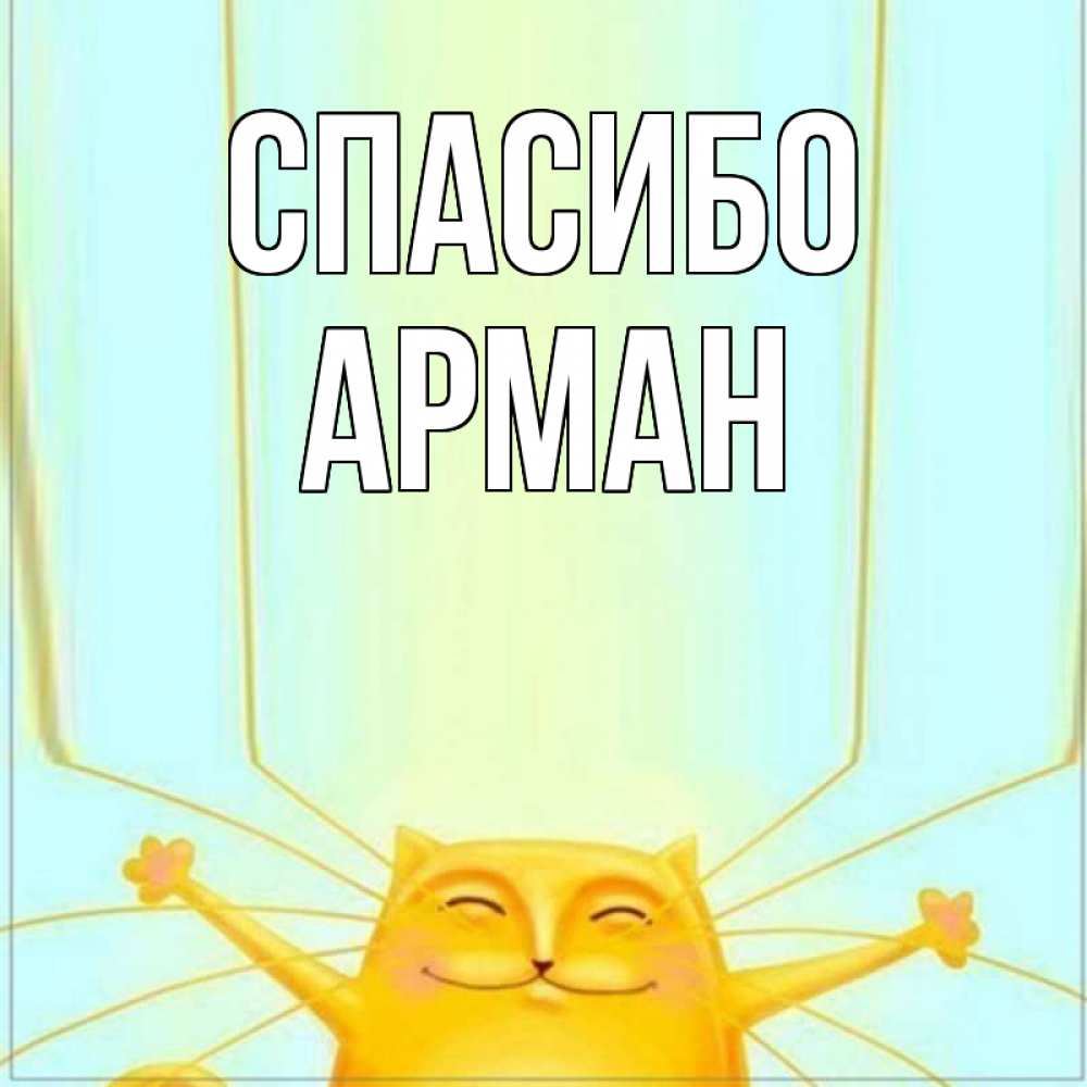 Открытка на каждый день с именем, Арман Спасибо кот с усами благодарит Прикольная открытка с пожеланием онлайн скачать бесплатно 