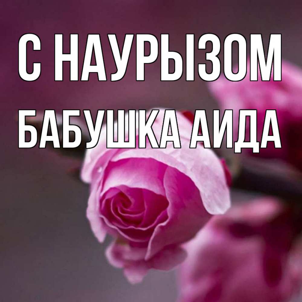 Открытка на каждый день с именем, Бабушка-Аида С наурызом весна Прикольная открытка с пожеланием онлайн скачать бесплатно 