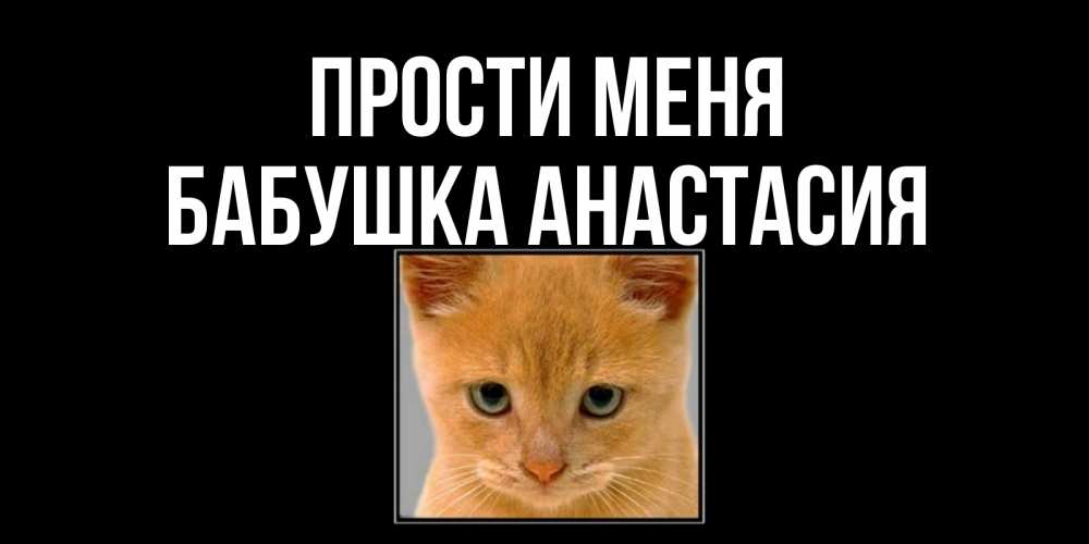 Открытка на каждый день с именем, Бабушка-Анастасия Прости меня рыжий грустный кот просит прощения Прикольная открытка с пожеланием онлайн скачать бесплатно 