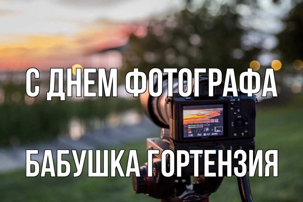 Открытка на каждый день с именем, Бабушка-Гортензия С днем фотографа с днем фотографа Прикольная открытка с пожеланием онлайн скачать бесплатно 