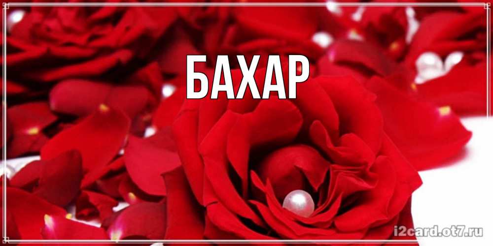 Картинка  с именем , Бахар