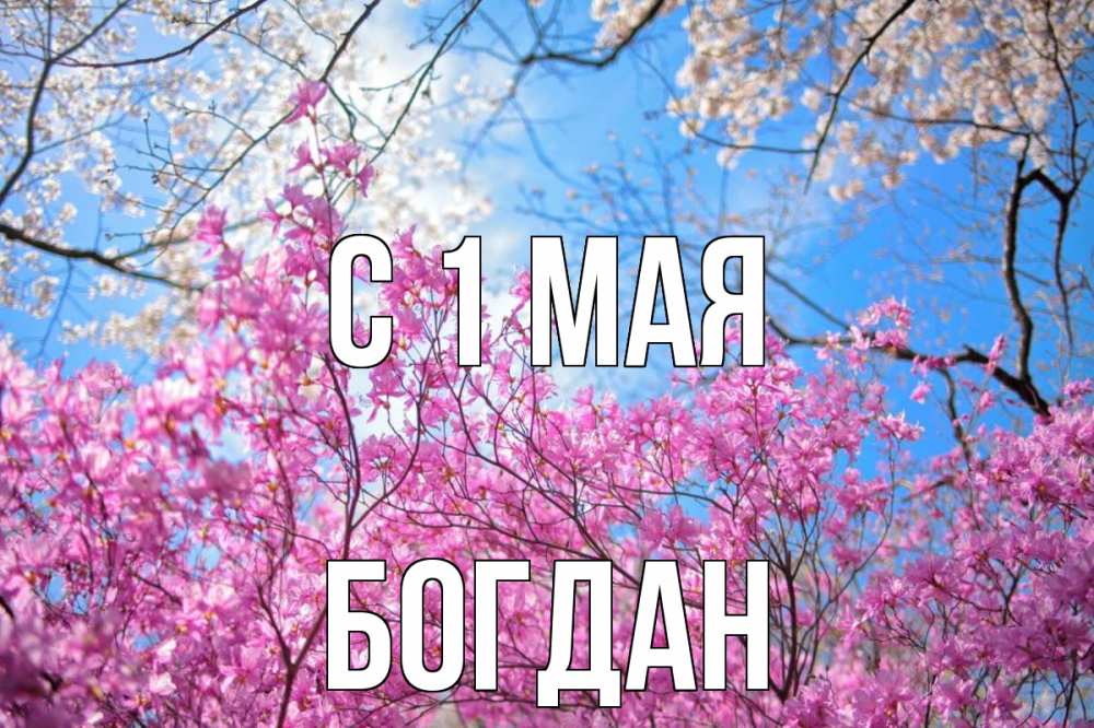 Открытка на каждый день с именем, Богдан С 1 мая С 1 мая Прикольная открытка с пожеланием онлайн скачать бесплатно 