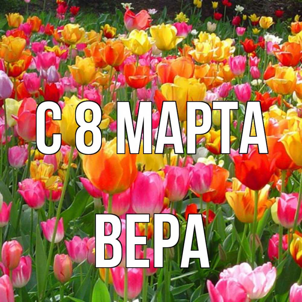 Открытка на каждый день с именем, Вера С 8 МАРТА на международный женский день Прикольная открытка с пожеланием онлайн скачать бесплатно 