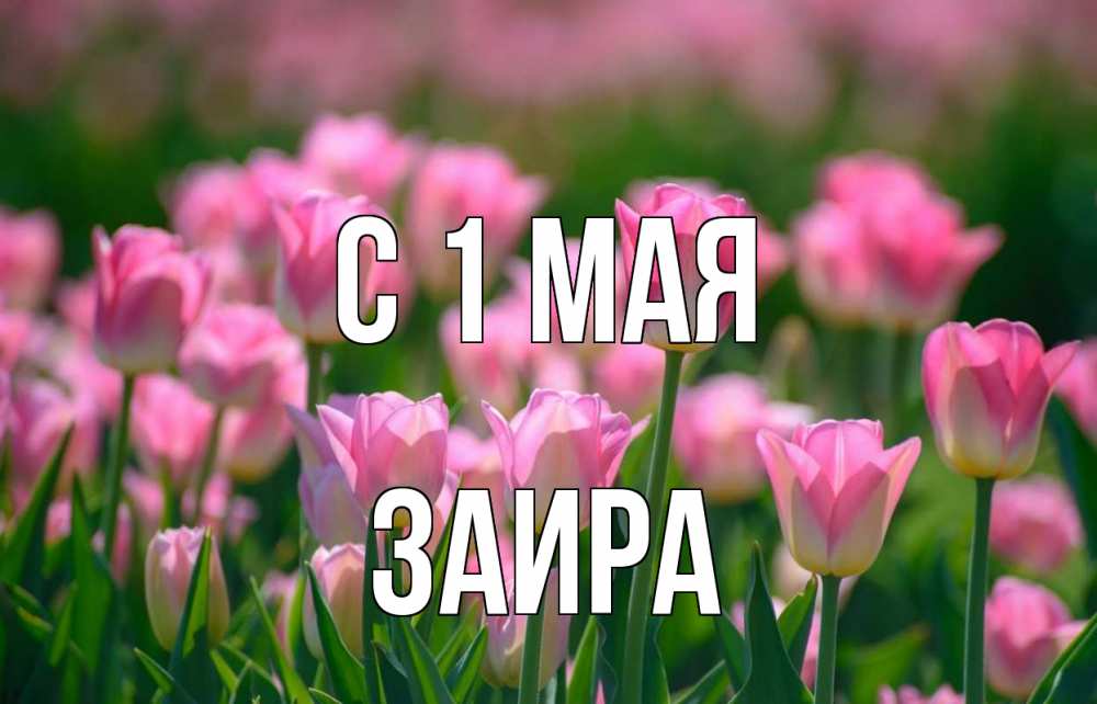 Открытка на каждый день с именем, Заира С 1 мая С 1 мая Прикольная открытка с пожеланием онлайн скачать бесплатно 