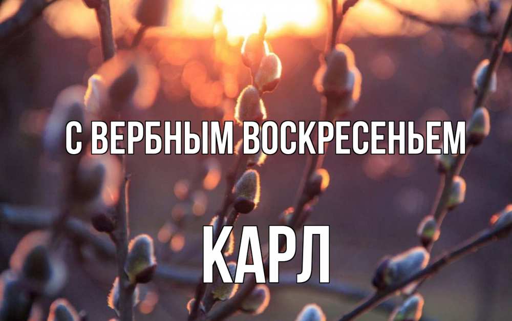 Открытка на каждый день с именем, Карл С вербным воскресеньем верба Прикольная открытка с пожеланием онлайн скачать бесплатно 