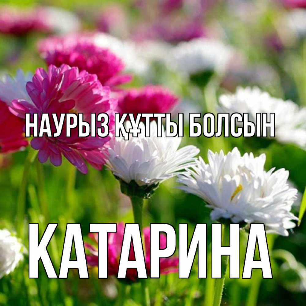 Открытка на каждый день с именем, Катарина Наурыз құтты болсын наурыз Прикольная открытка с пожеланием онлайн скачать бесплатно 