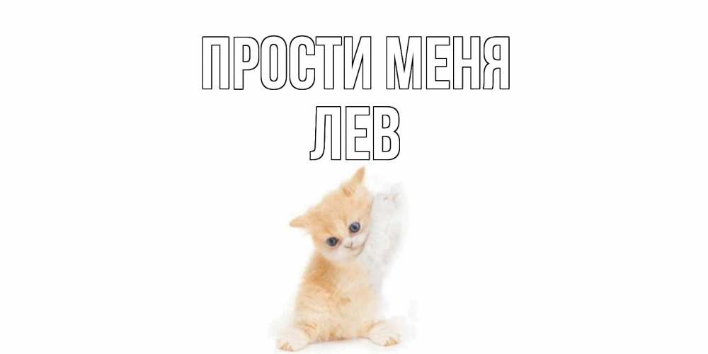 Открытка на каждый день с именем, Лев Прости меня кот Прикольная открытка с пожеланием онлайн скачать бесплатно 