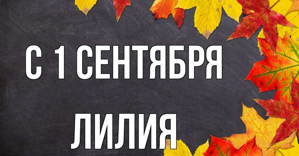 Открытка на каждый день с именем, Лилия С 1 сентября с днем знаний Прикольная открытка с пожеланием онлайн скачать бесплатно 